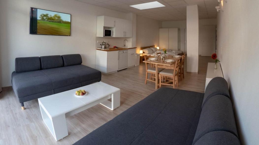 Eleonoras Ferienwohnung In Wuerzburg Stadt Mit Terrasse Im Erdgeschoss Inklusive Eigenen Parkplaetzen Vor Der Tuer Exterior foto